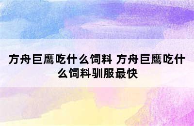 方舟巨鹰吃什么饲料 方舟巨鹰吃什么饲料驯服最快